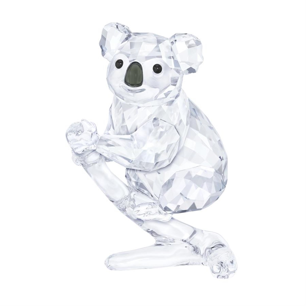 Koala Biblo