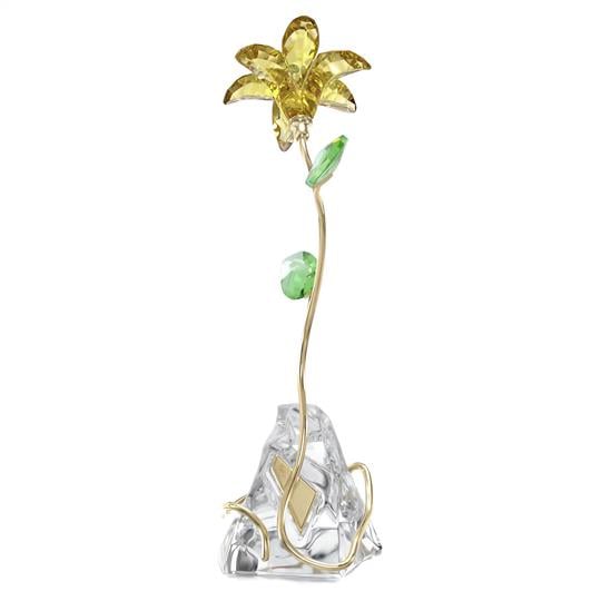 MarkasızFLORERE:LILY---