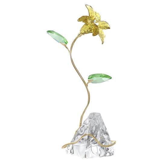 MarkasızFLORERE:LILY---