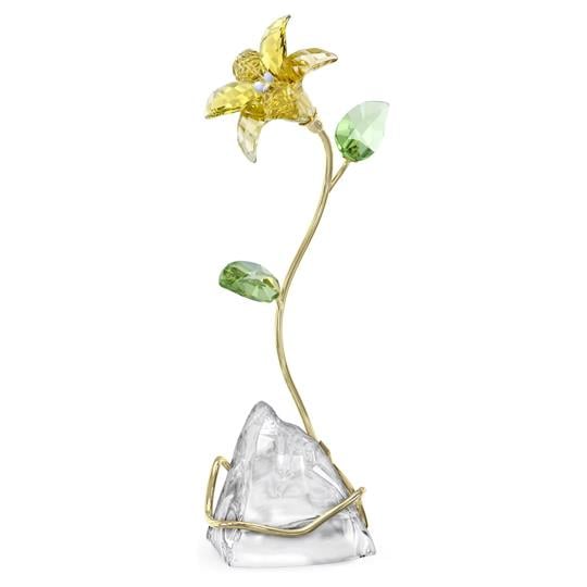 MarkasızFLORERE:LILY---