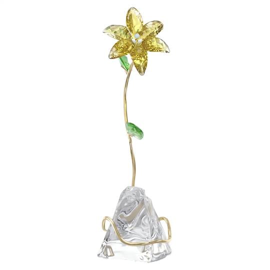 MarkasızFLORERE:LILY---