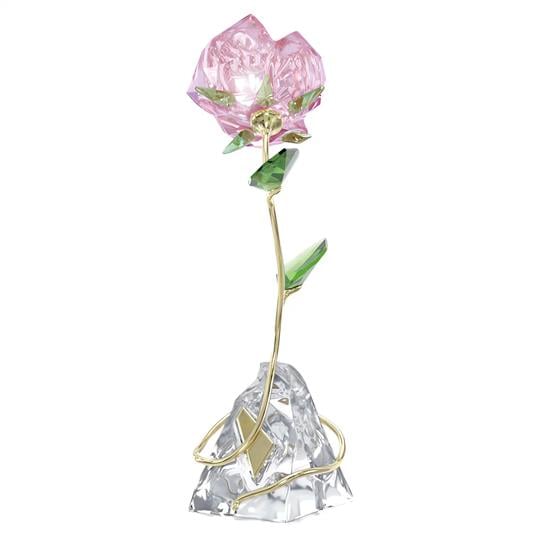 MarkasızFLORERE:ROSE---