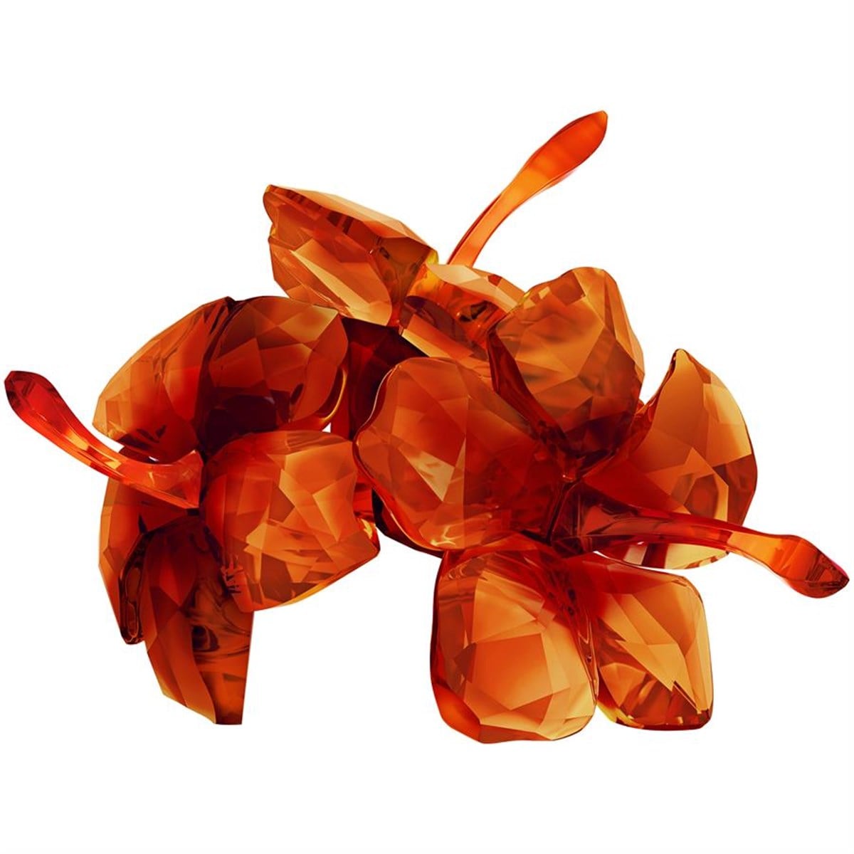 Red Hibiscus Biblo