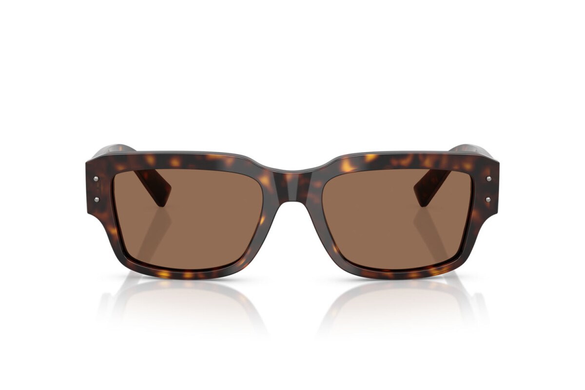 DOLCE&GABBANA  4483 502/73 54-19  Güneş Gözlüğü