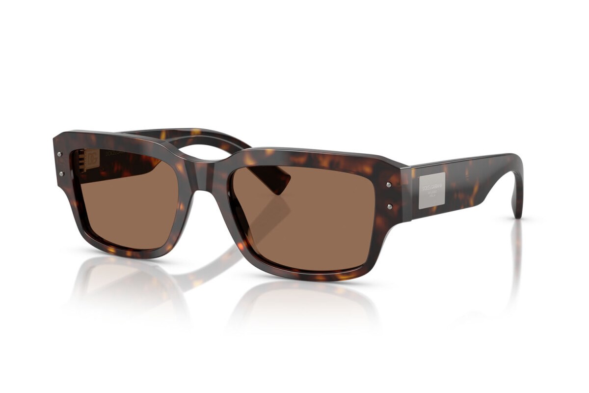 DOLCE&GABBANA  4483 502/73 54-19  Güneş Gözlüğü
