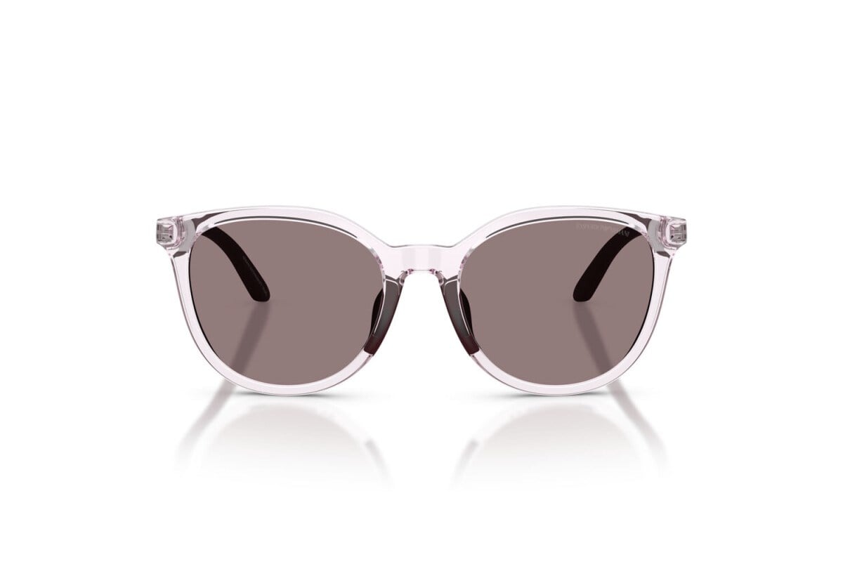 EMPORIO ARMANI  4007U 61397N 49-17  Güneş Gözlüğü