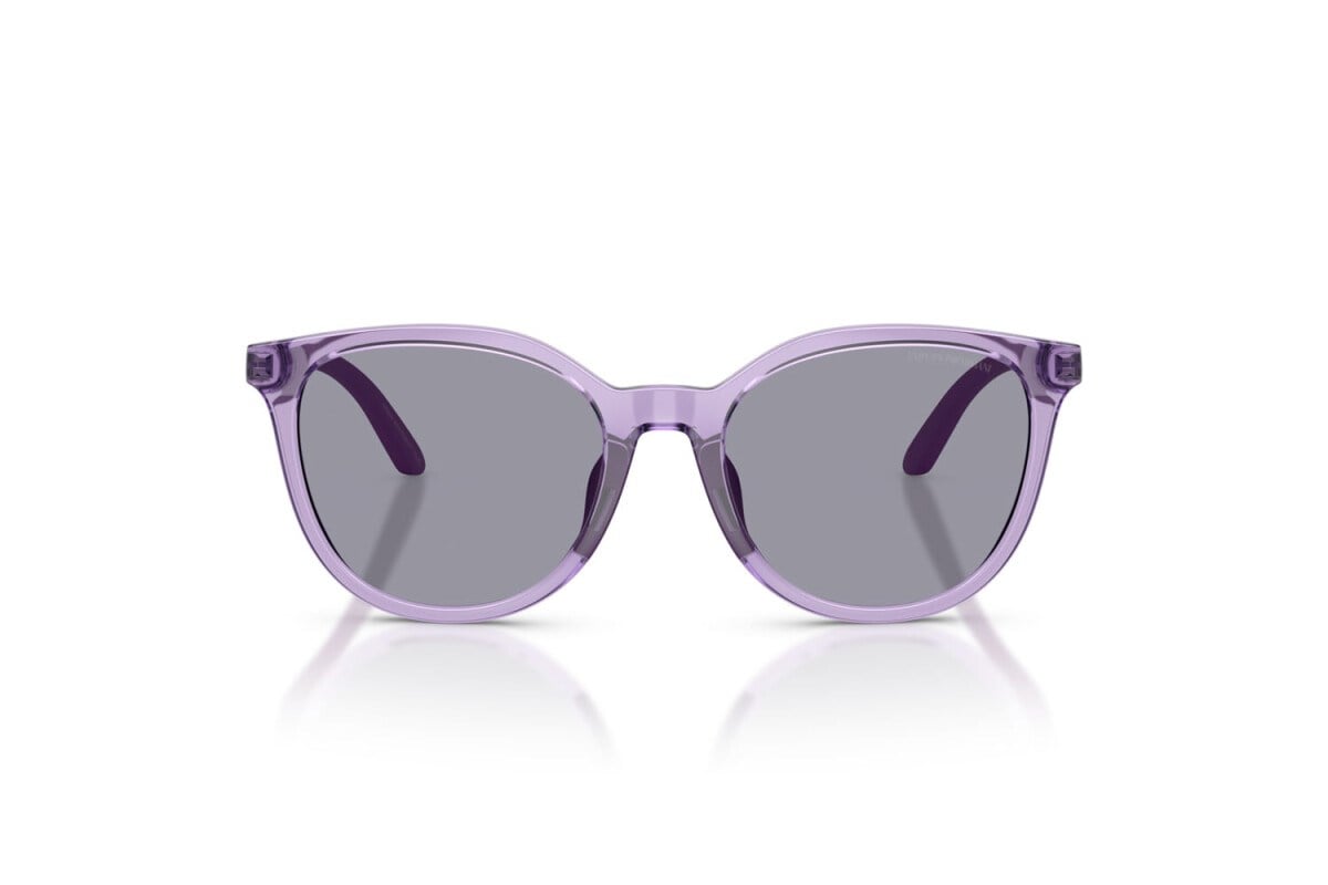 EMPORIO ARMANI  4007U 628080 49-17  Güneş Gözlüğü