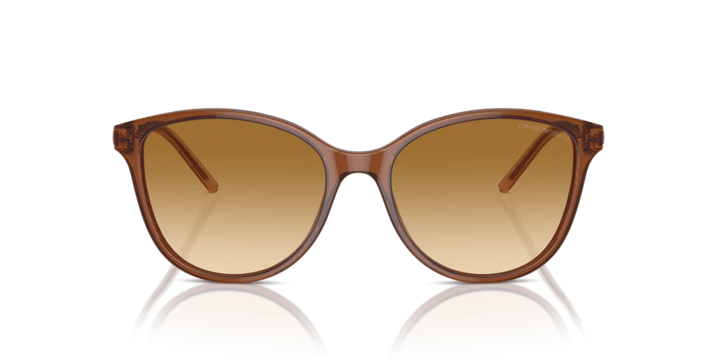 EMPORIO ARMANI  4220 61103B 54-17  Güneş Gözlüğü