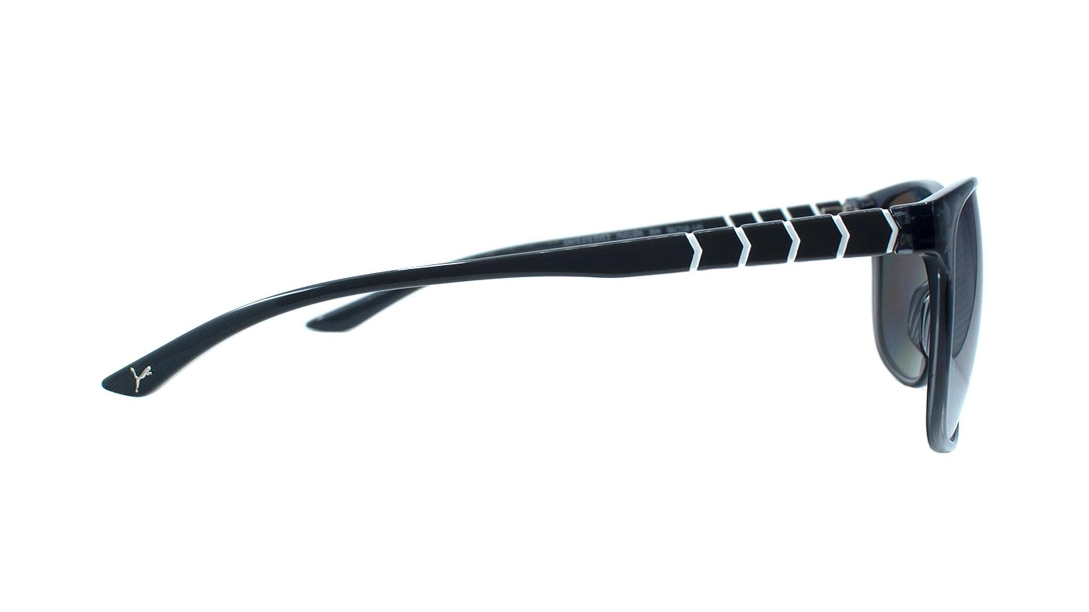 PUMA  PU0132S 004 56-16  Güneş Gözlüğü