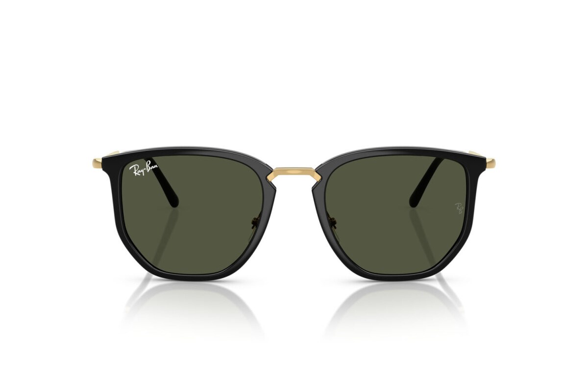 Ray-ban  4451 630631 50-20  Güneş Gözlüğü