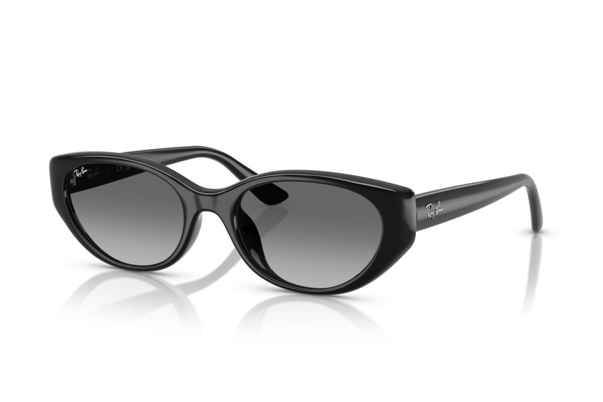 Ray-ban  4457D 667711 55-19  Güneş Gözlüğü