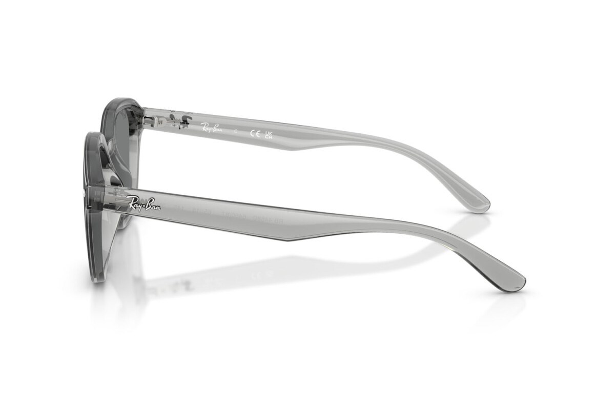 Ray-ban  4458D 645087 65-18  Güneş Gözlüğü