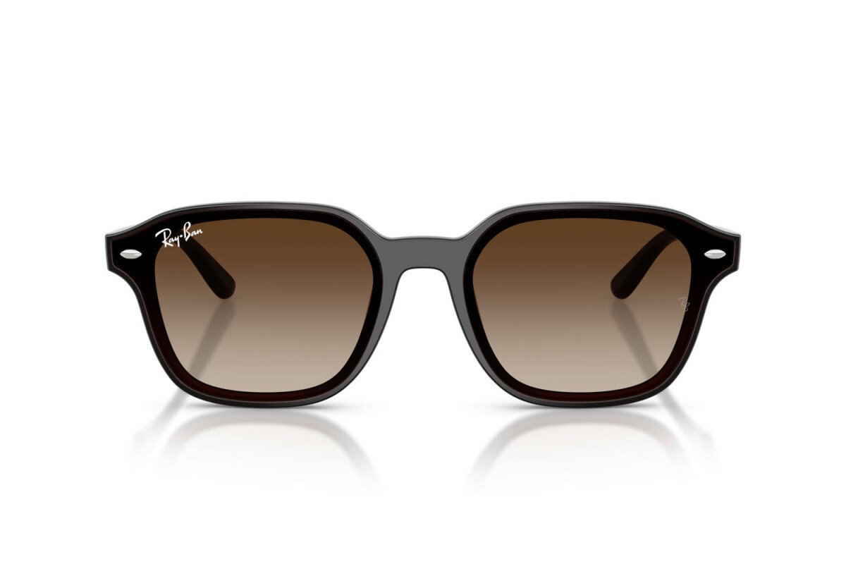 Ray-ban  4458D 714/13 65-18  Güneş Gözlüğü