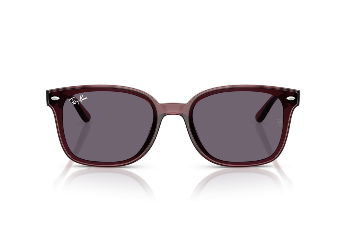 Ray-ban  4461D 659373 64-17  Güneş Gözlüğü