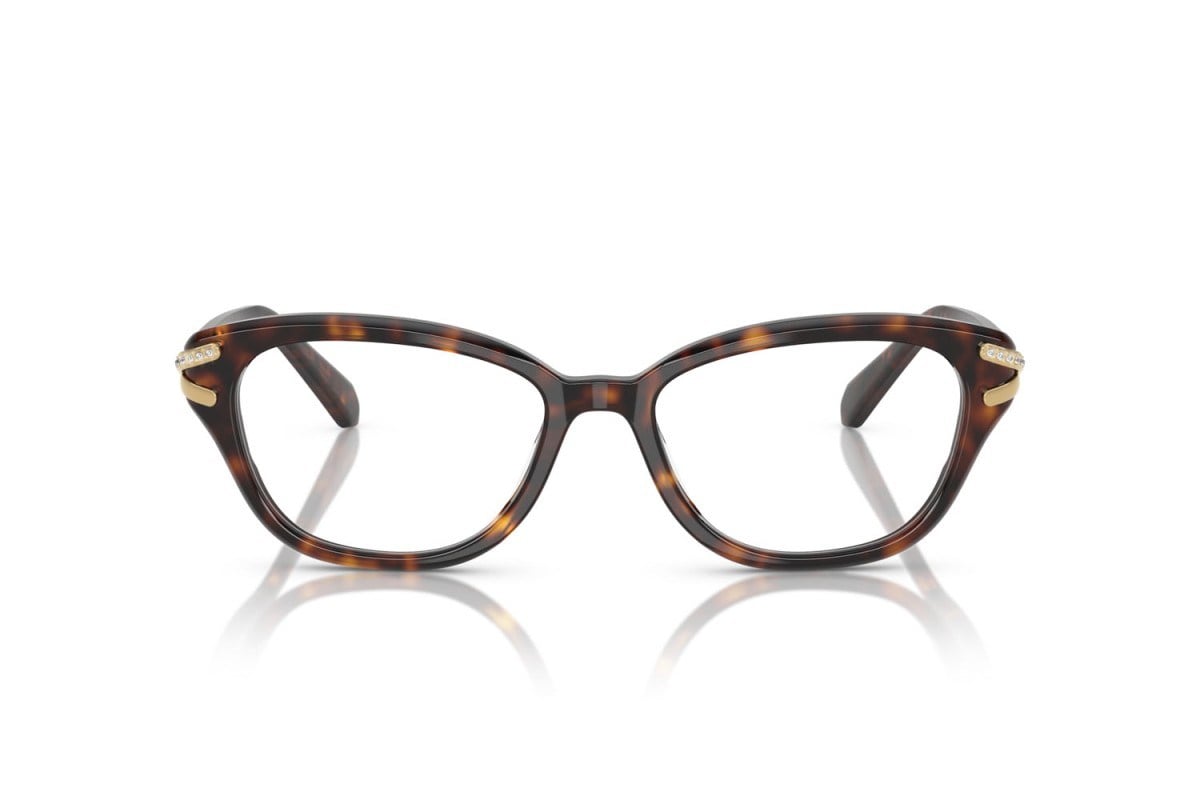 Swarovskı  2032 1002 52-17  Optik Çerçeve