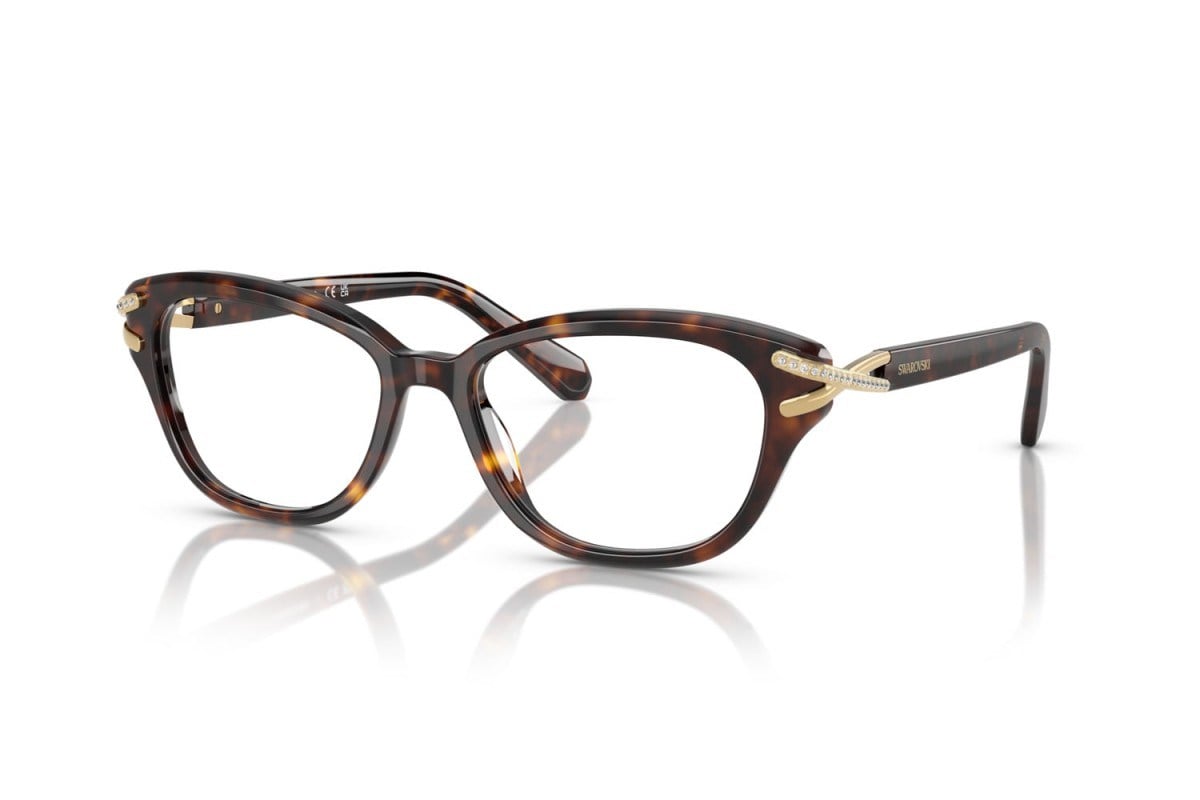 Swarovskı  2032 1002 52-17  Optik Çerçeve