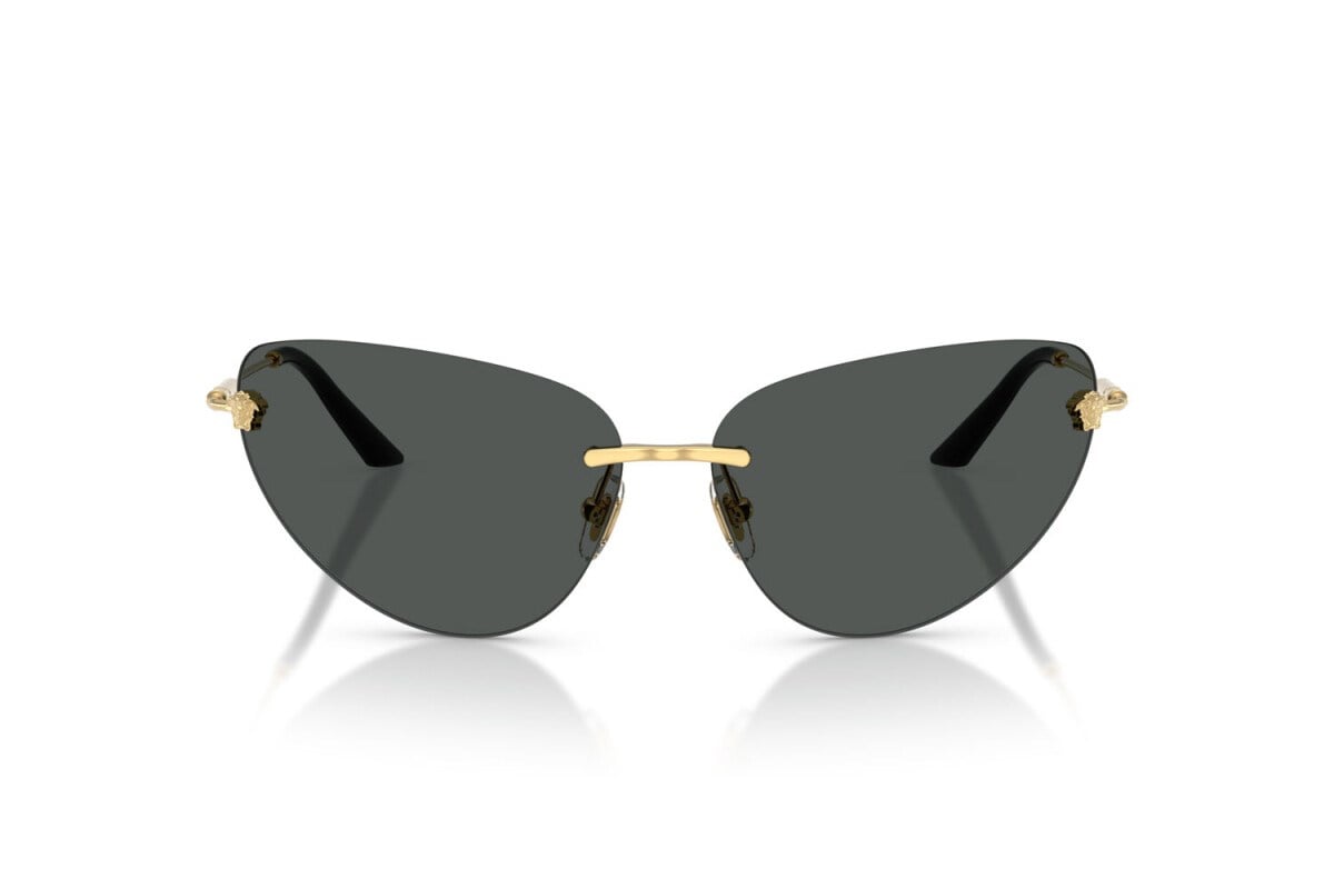 Versace  2281 100287 64-13  Güneş Gözlüğü