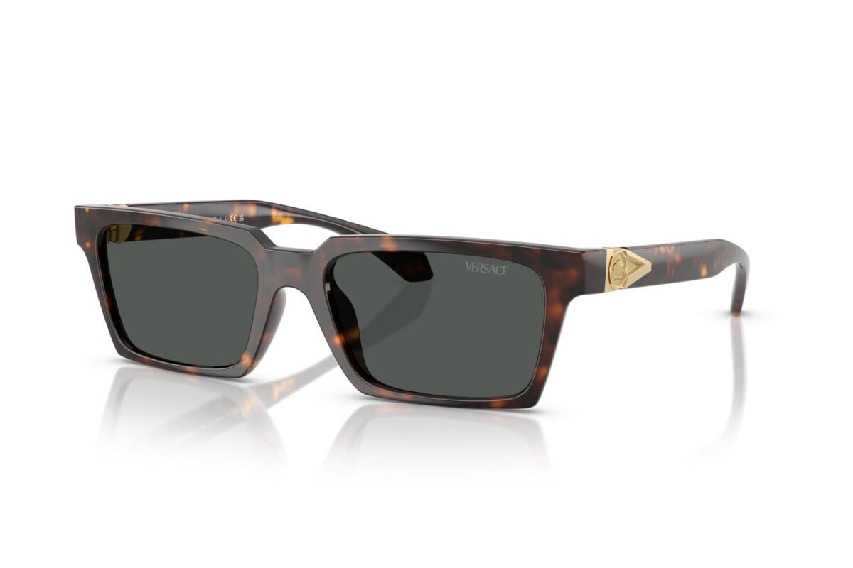 Versace  4490U 108/87 55-18  Güneş Gözlüğü