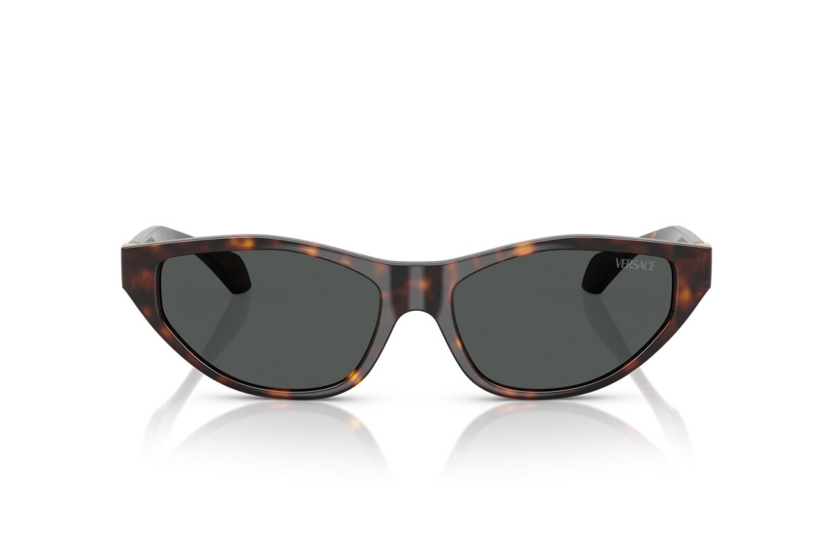 Versace  4491U 108/87 55-16  Güneş Gözlüğü