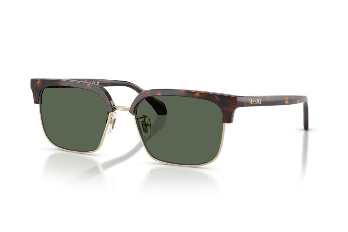 Versace  4494D 108/71 56-17  Güneş Gözlüğü