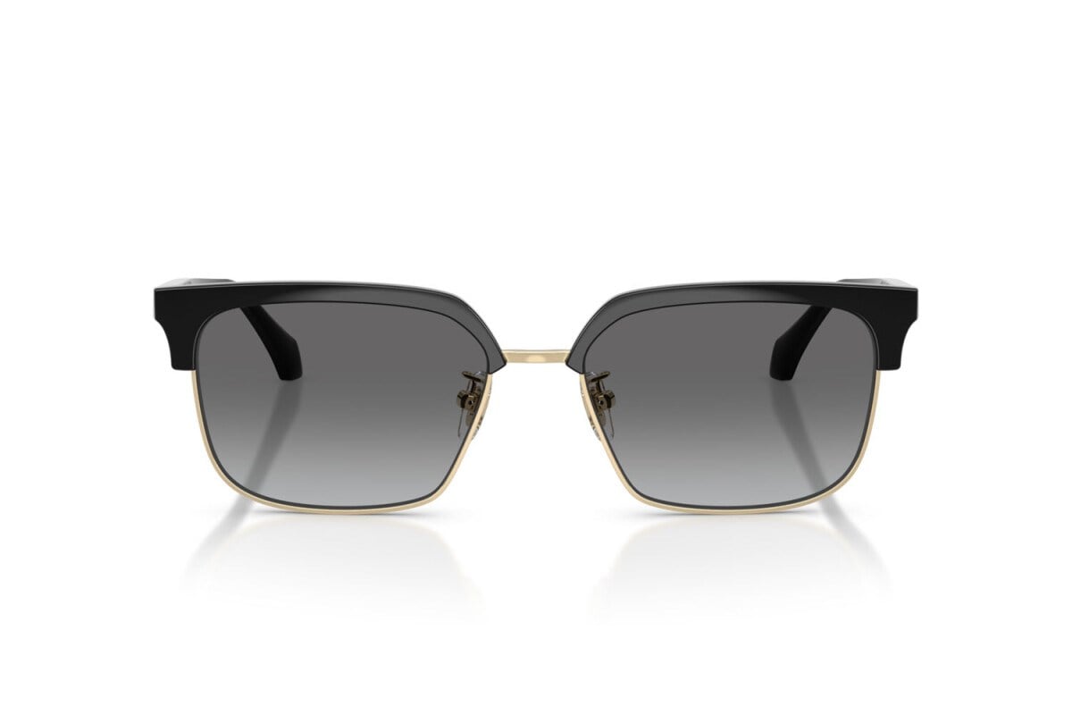Versace  4494D GB1/11 56-17  Güneş Gözlüğü
