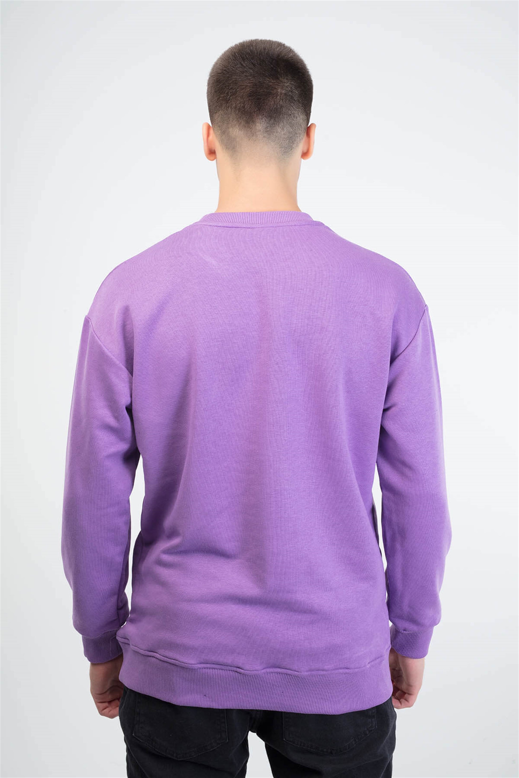 Trendiz Drew Couple Erkek Yuvarlak Yaka Sweatshirt Mor 111168