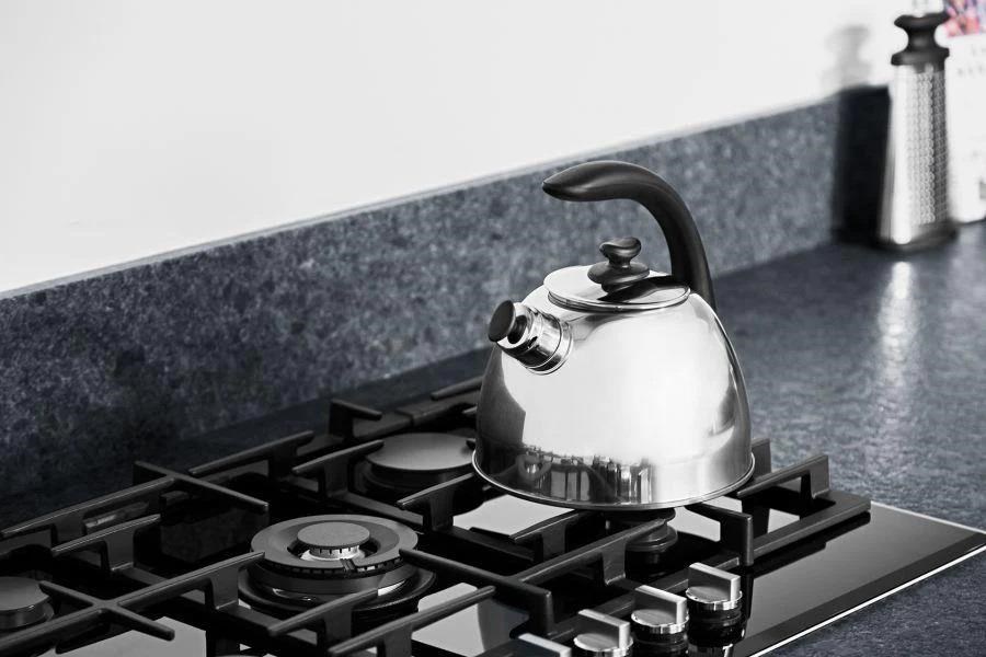 Berghoff Essentials Düdüklü Su Isıtıcı 2,5 LT - 1104175