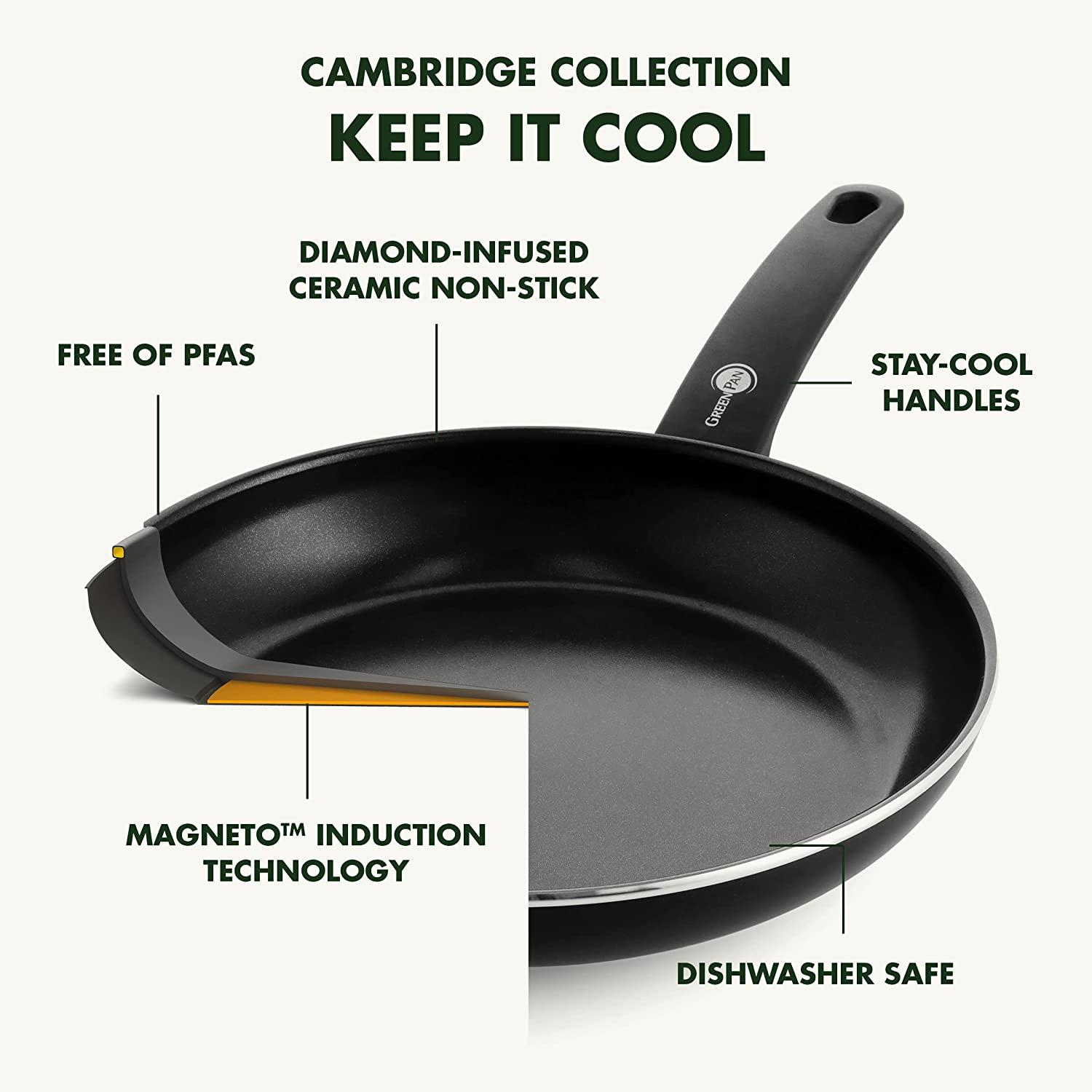 Greenpan Cambridge 32.3Cm Balik Tavasi - CW002322-002