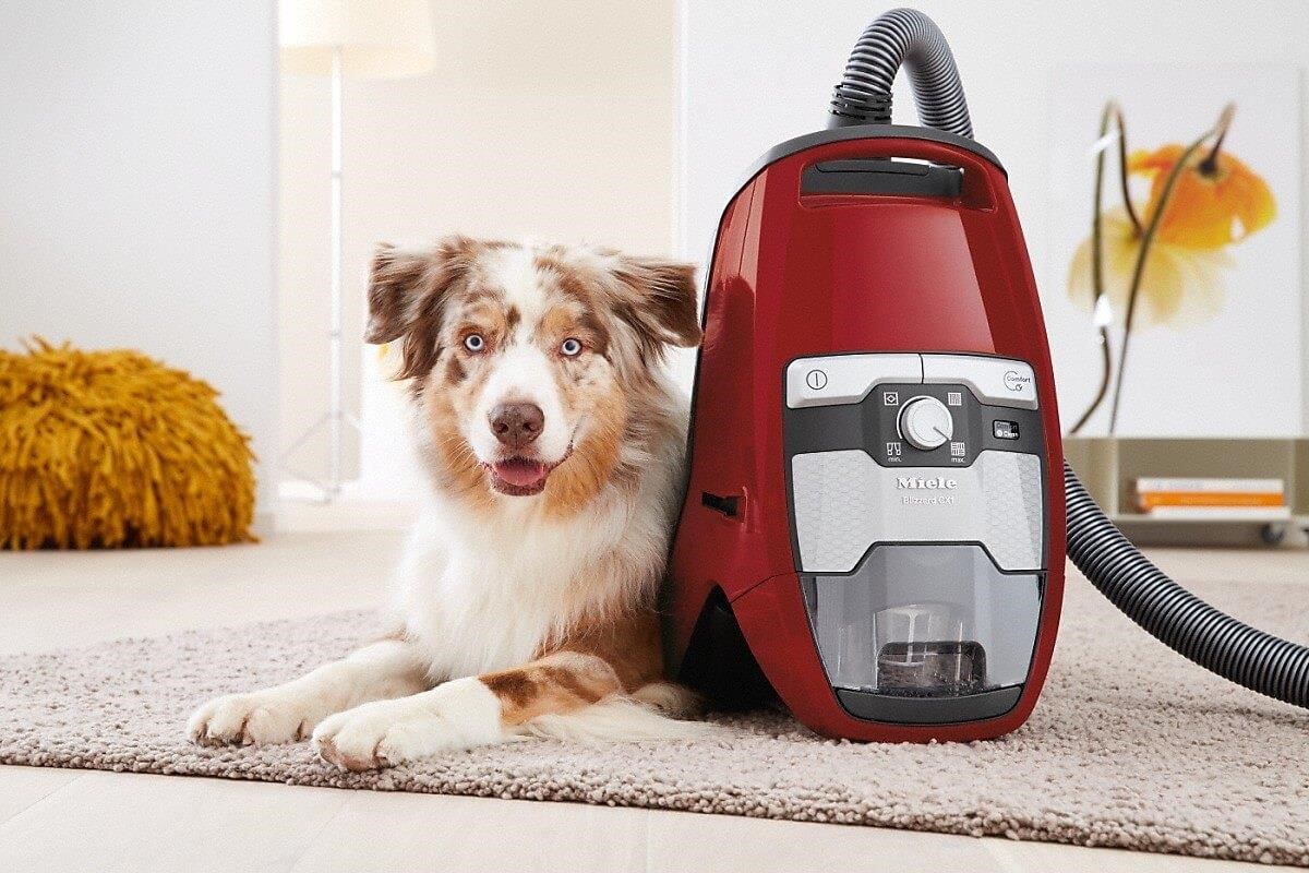 Miele Blizzard Cx1 Cat&Dog Mango Red  Toz Torbasız Süpürge