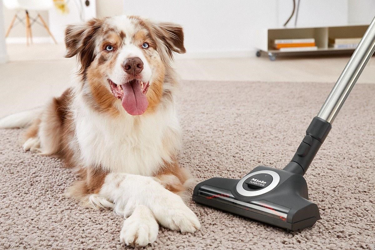 Miele STB 305-3 Turbo Yer Fırçası