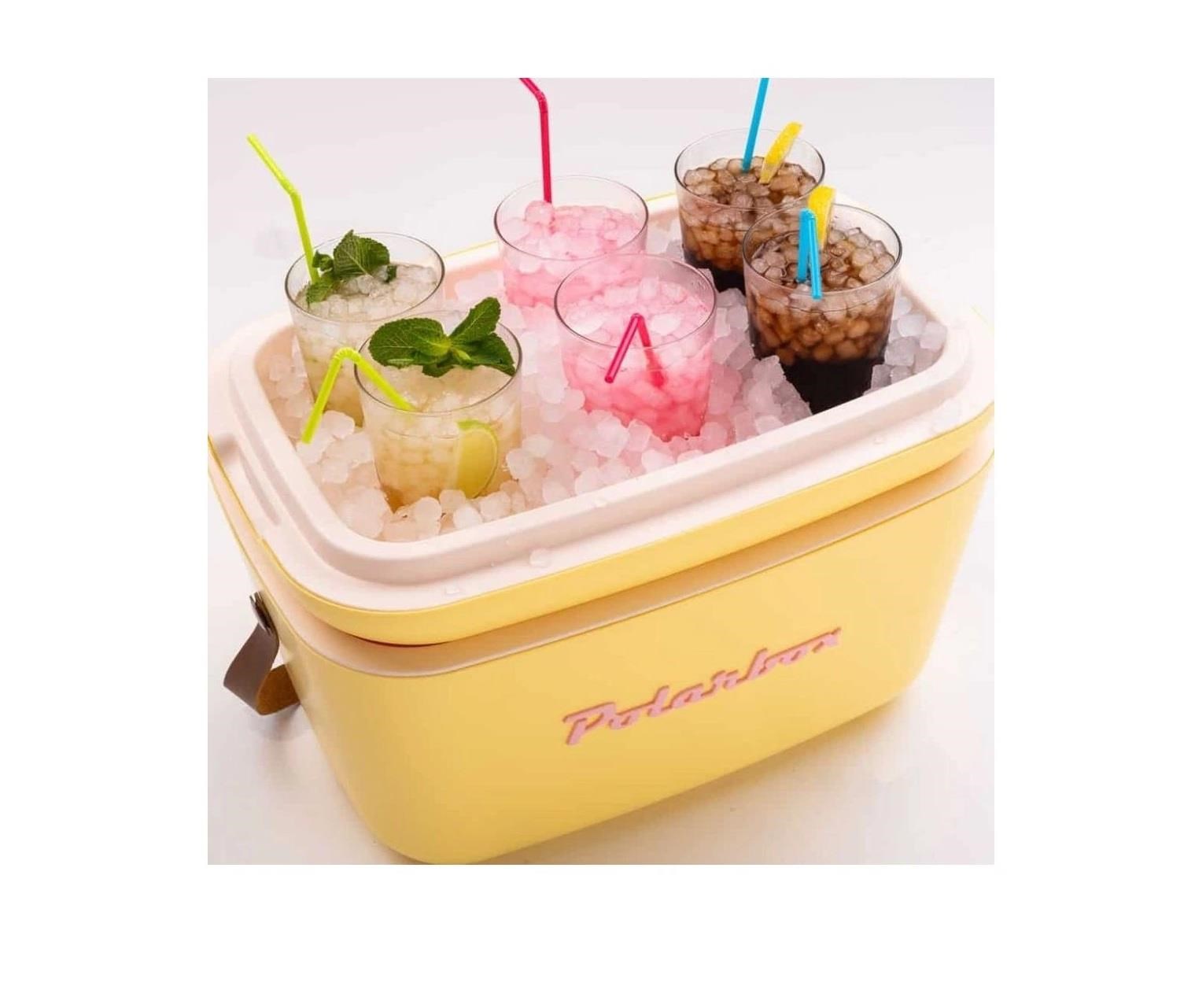 Polarbox 9385 Lime - Rosa Soğuk ve Sıcak Termos Çanta 12L