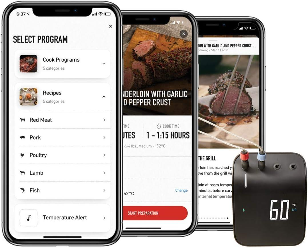 Weber 3202 Connect Akıllı Izgara Hub Dijital Barbekü Asistanı