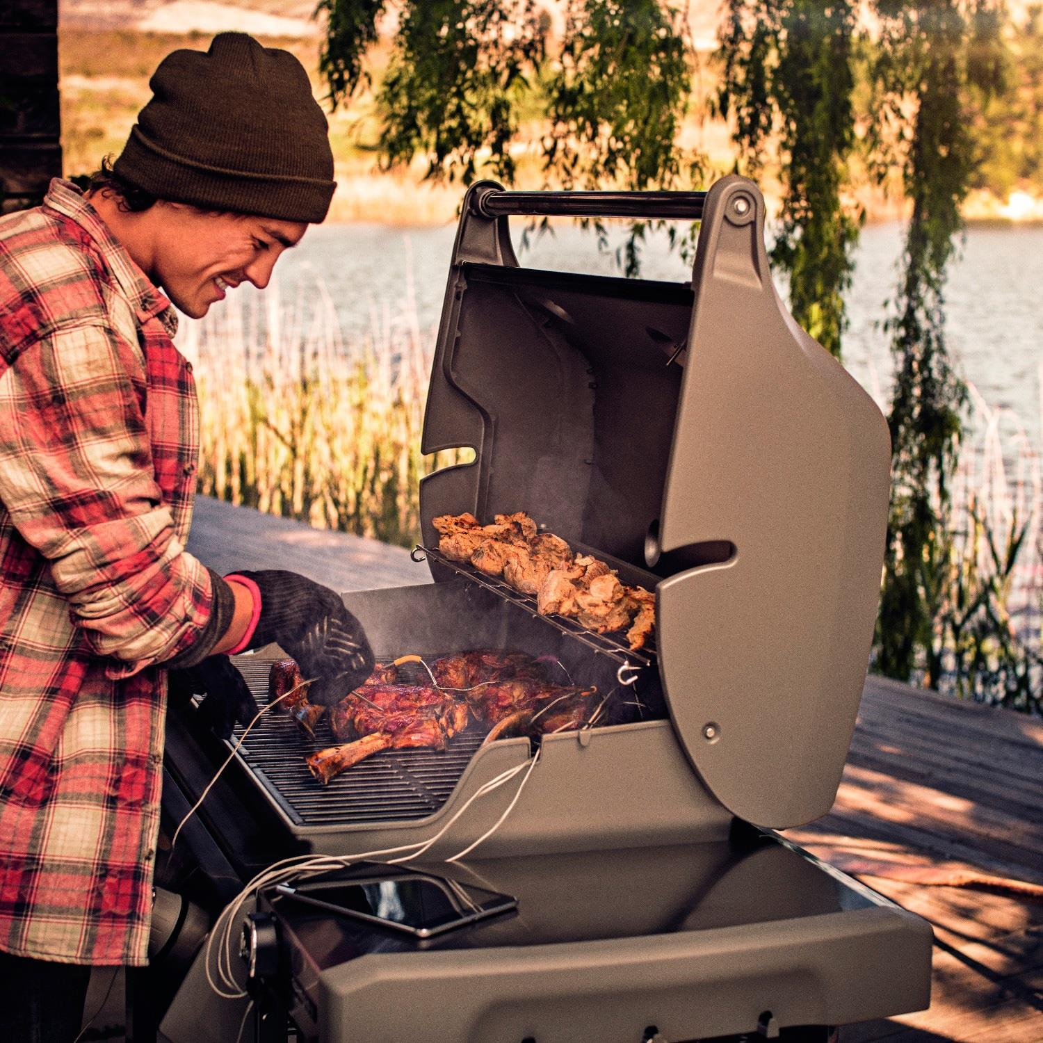 Weber GENESIS II E-310 - 61011175