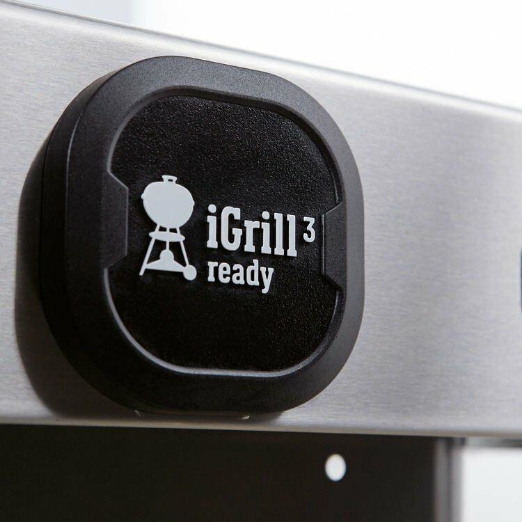 Weber GENESIS II E-310 - 61011175