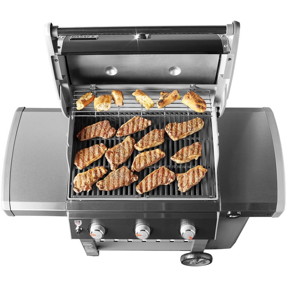 Weber GENESIS II E-310 - 61011175