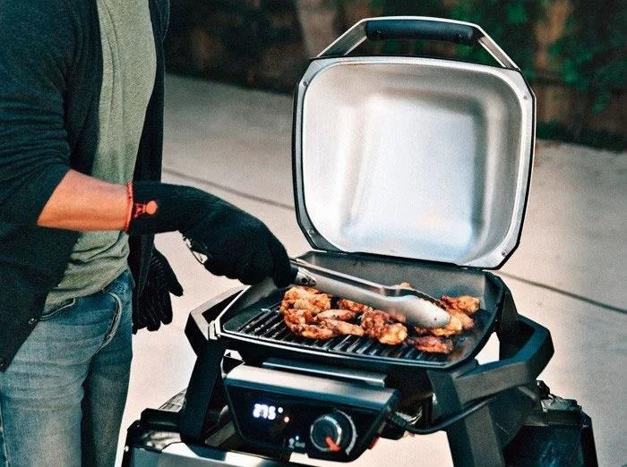 Weber PULSE 1000 Black - 81010079