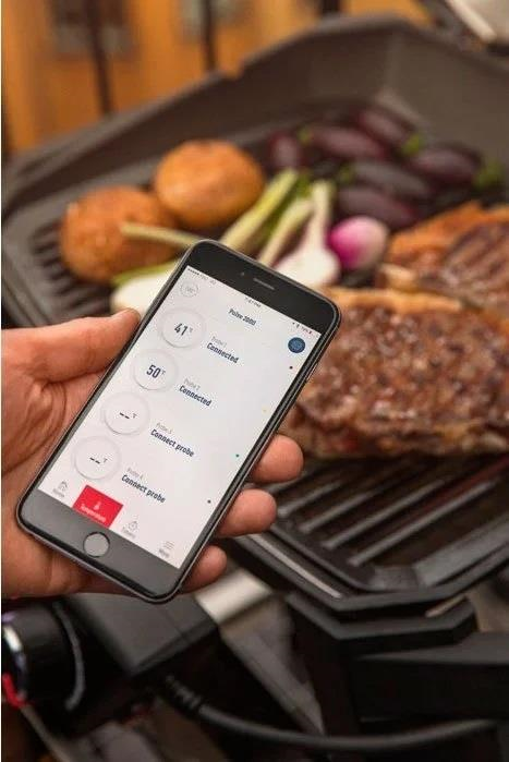 Weber PULSE 1000 Black - 81010079