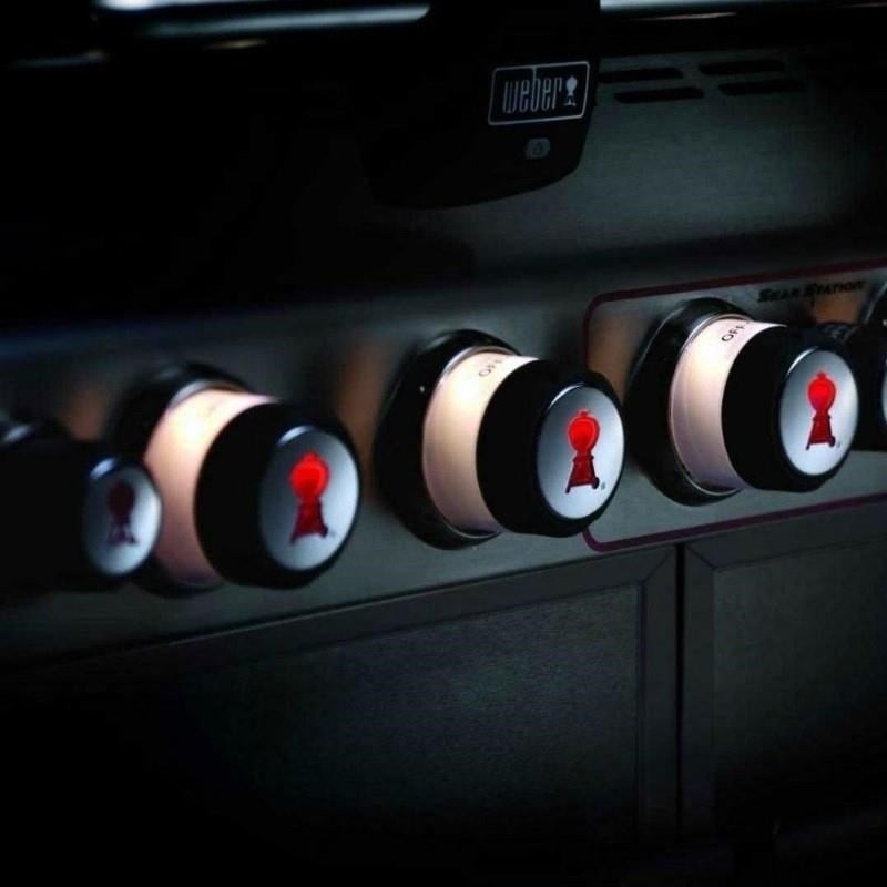 Weber Summit® S-670 GBS Gazlı Mangal Paslanmaz Çelik - 7370075