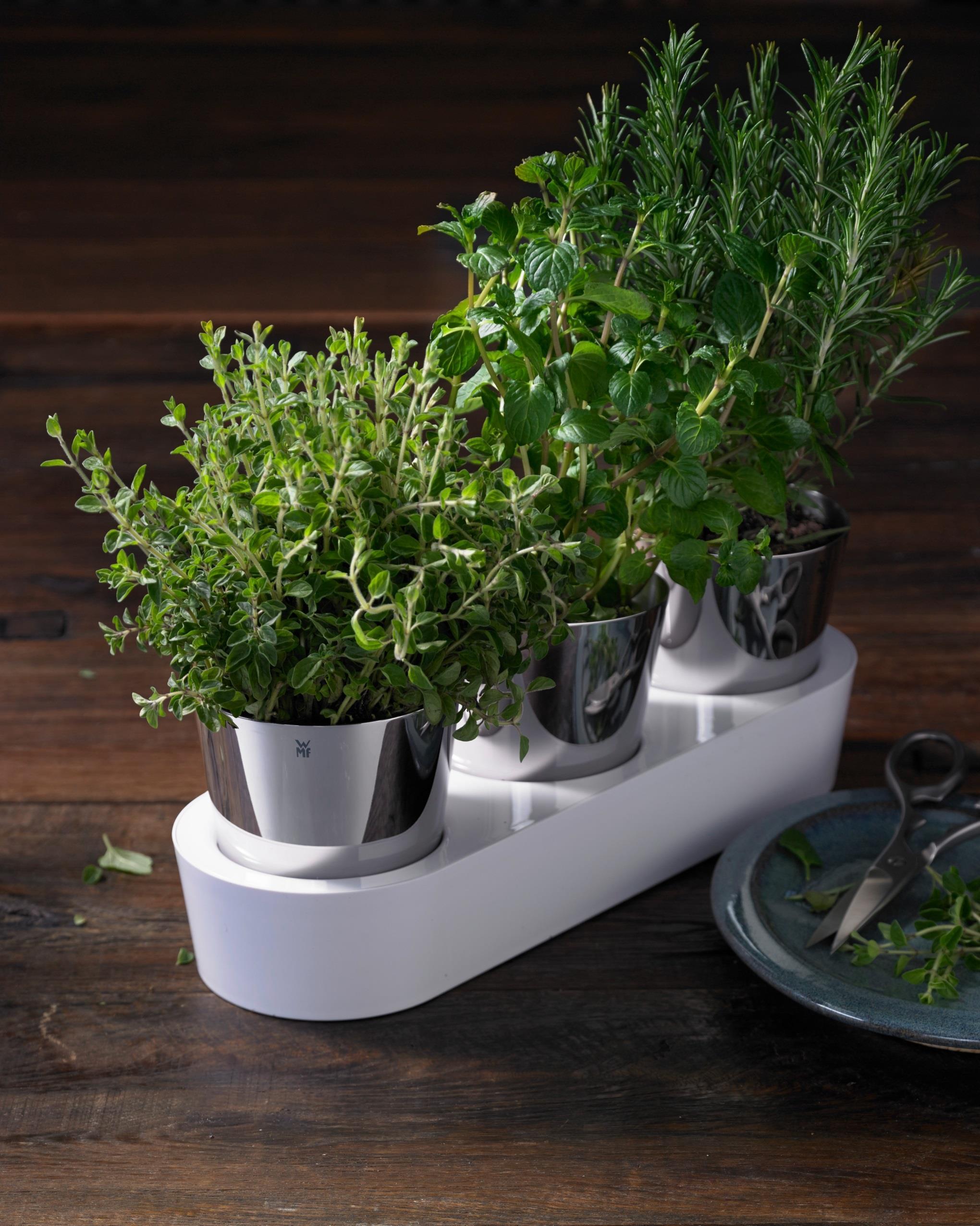 WMF HERB GARDEN SAKLI 3'LÜ