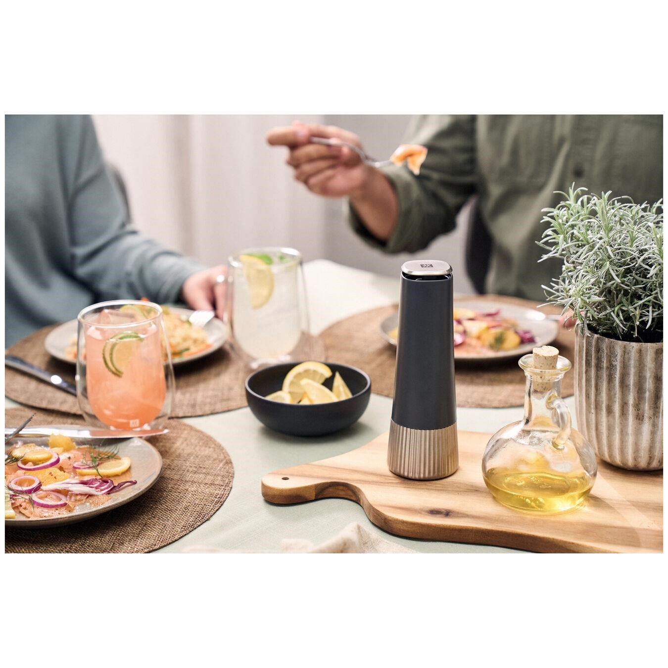 ZWILLING Baharat Değirmeni 19cm Gri