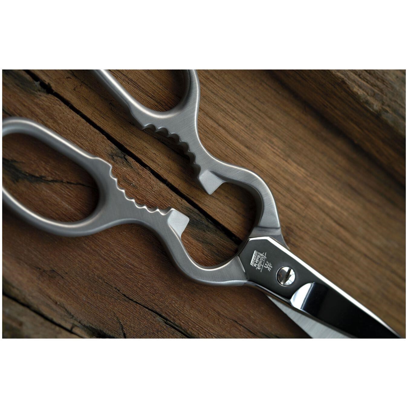ZWILLING Çok Amaçlı Yekpare Makas