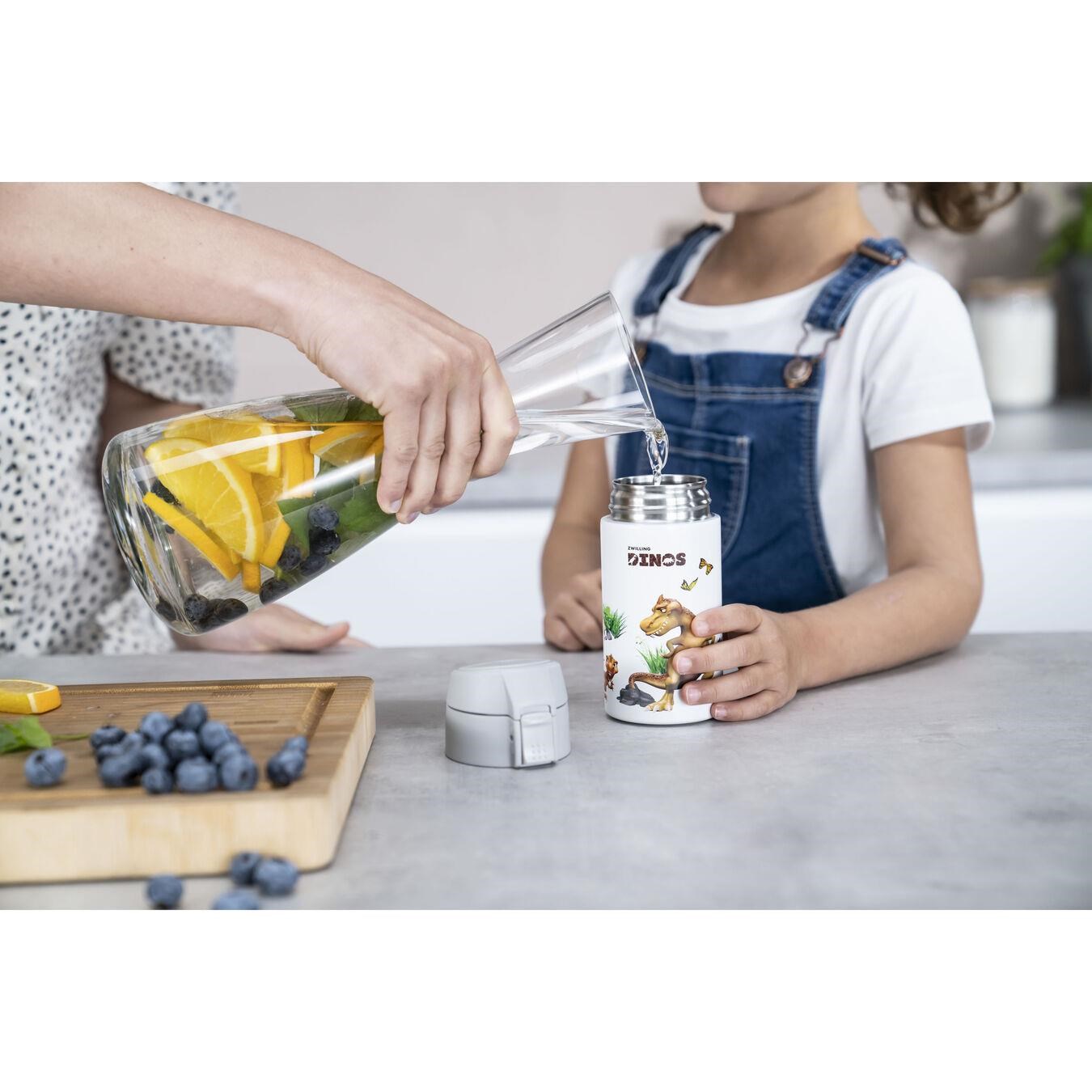 ZWILLING DİNOS MATARA 350 ML PASLANMAZ ÇELİK BEYAZ GRİ