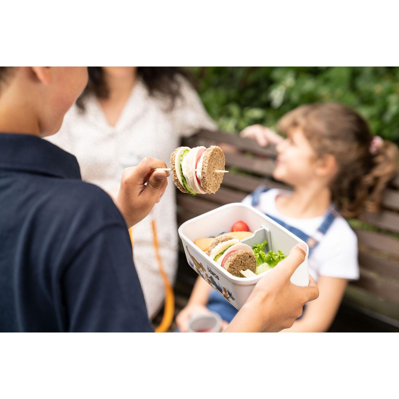 Zwilling Dinos Vakumlu Yemek Kabi Orta Boy Plastik - 368145000