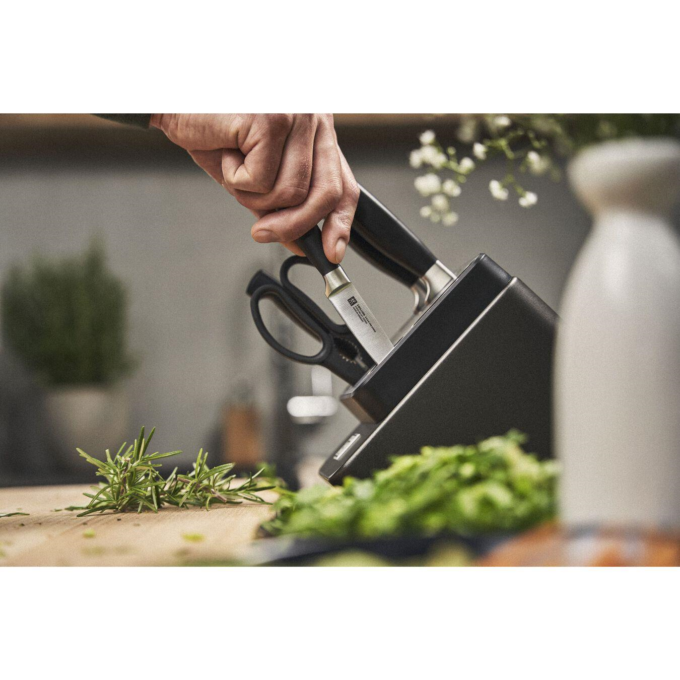 ZWILLING FOUR STAR 7-Parça Dişbudak Ağacı Blok Bıçak Seti Kendinden Bilemeli - 351487000