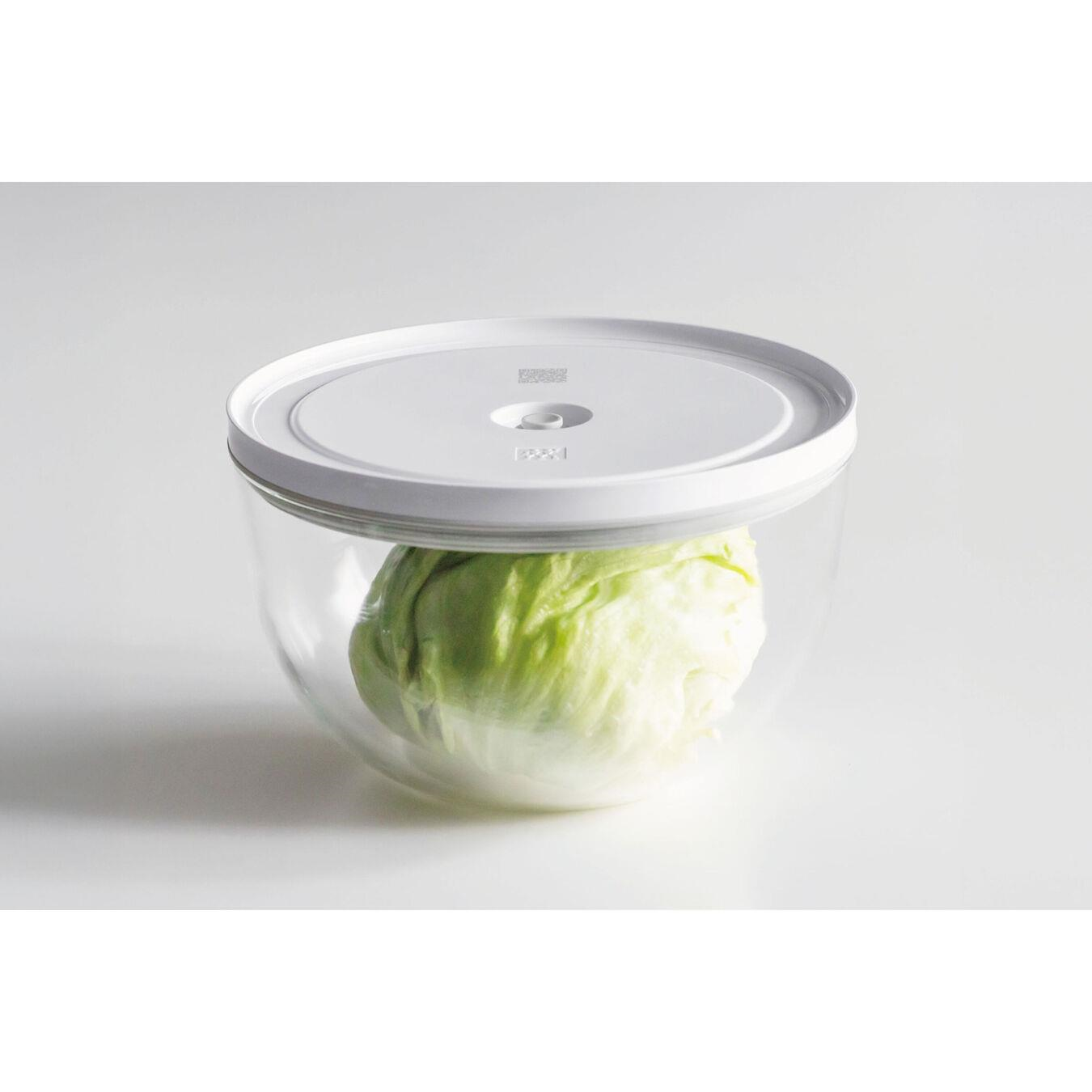 ZWILLING Fresh&Save BOWLS Vacuum Bowl L 24cm Cam Şeffaf - 1030842