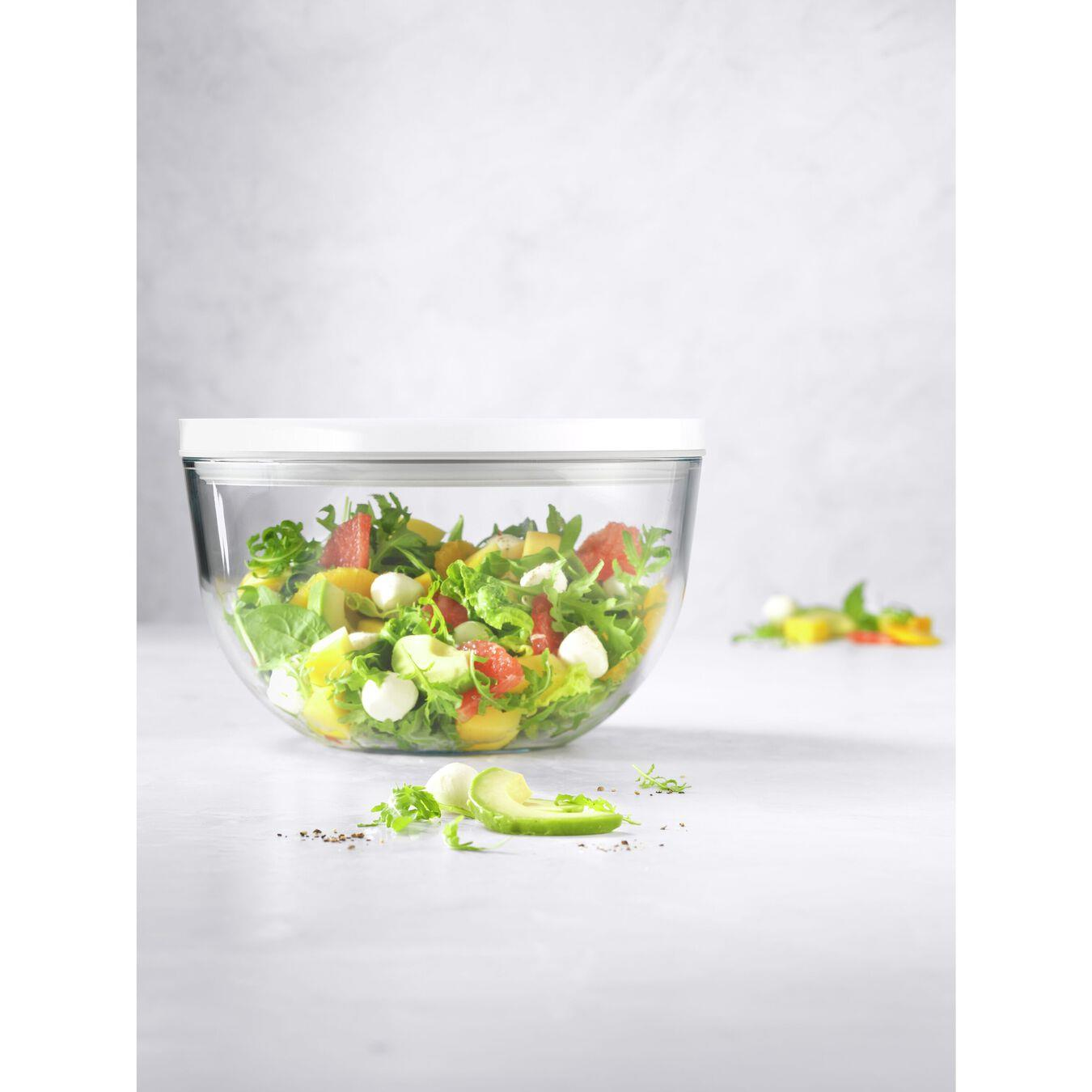 ZWILLING Fresh&Save BOWLS Vacuum Bowl L 24cm Cam Şeffaf - 1030842
