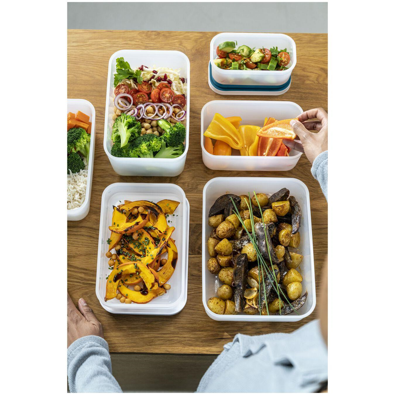 Zwilling Fresh&Save Vakumlu Saklama Kabı 