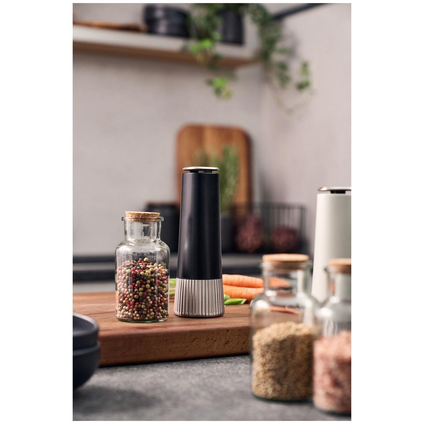 ZWILLING Spices Baharat Değirmeni 19cm Siyah