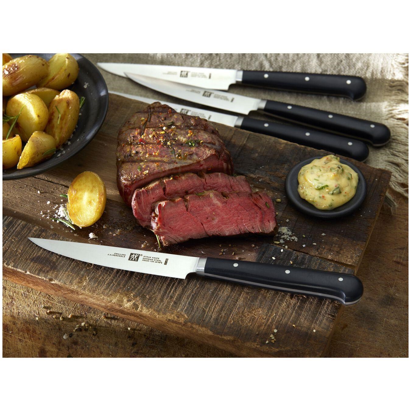 ZWILLING STEAK SETS Biftek Bıçağı Seti Paslanmaz Çelik 4-Parça