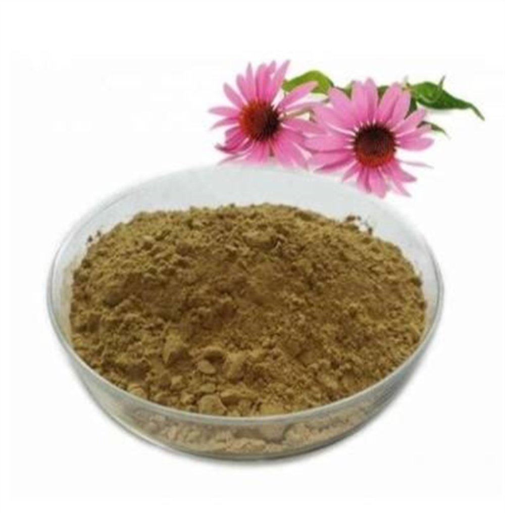 Echinacea (Ekinezya) Extract